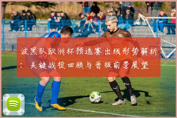 波黑队欧洲杯预选赛出线形势解析：关键战役回顾与晋级前景展望