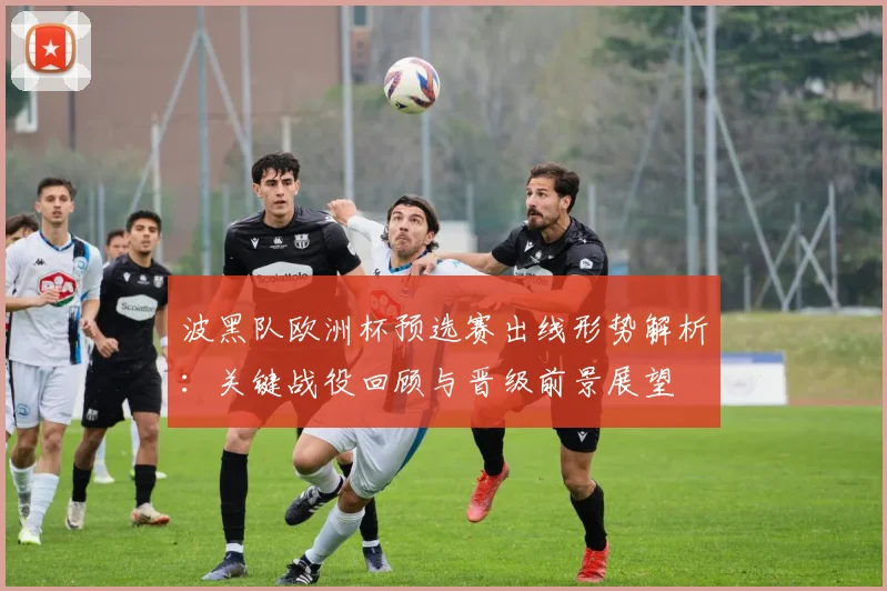 波黑队欧洲杯预选赛出线形势解析:关键战役回顾与晋级前景展望